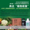 真正植物疫苗，有效预防疫病、炭疽病、病毒病